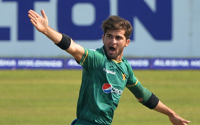  Watch: Shaheen Afridi apologises to Afif Hossain after hurting him with the ball