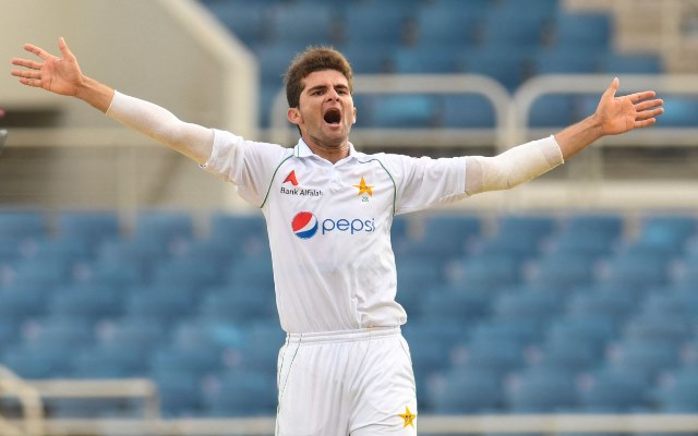  Fans question Shaheen Afridi’s omission from Test Player of the Year nominees