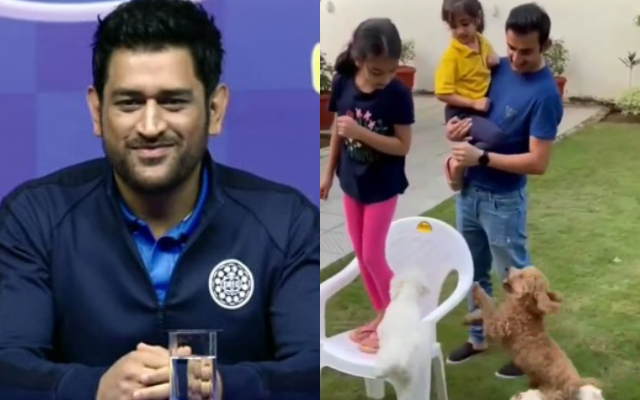 ‘Clown’ – Fans Slam Gautam Gambhir For Indirectly Insulting MS Dhoni By Calling His Dog ‘Oreo’