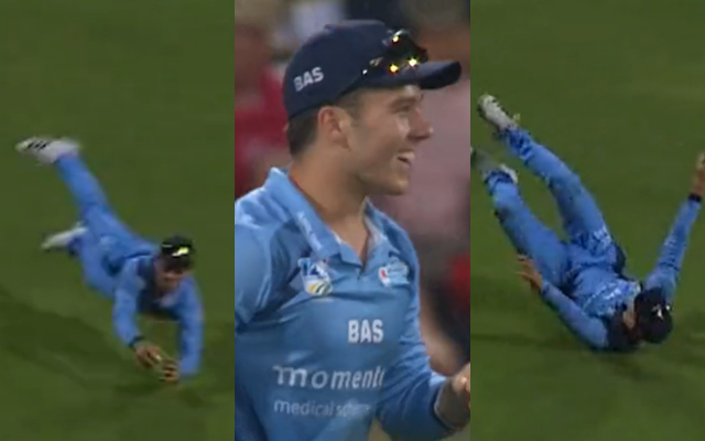  Watch: Dewald Brevis impresses with flying catch in T20 Challenge