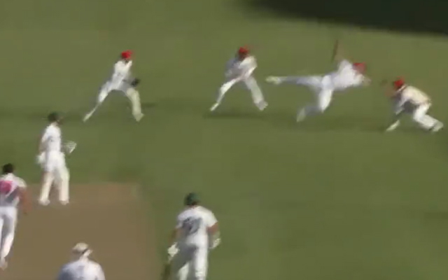  Watch: Australian Player Takes ‘Catch Of The Summer’ During A Sheffield Shield Game, Leaves Everyone Stunned
