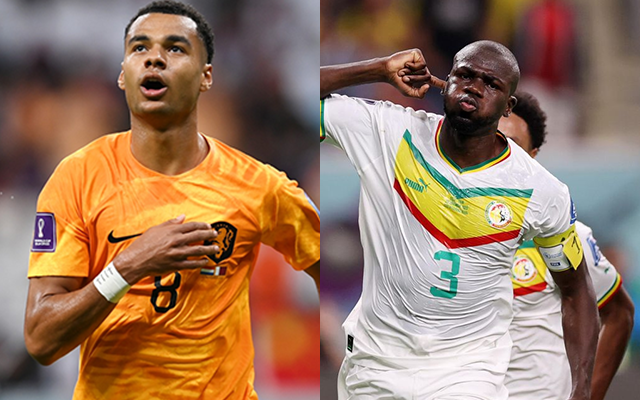  FIFA World Cup 2022: Group A- Netherlands and Senegal become the first two teams to qualify for Rounds of 16