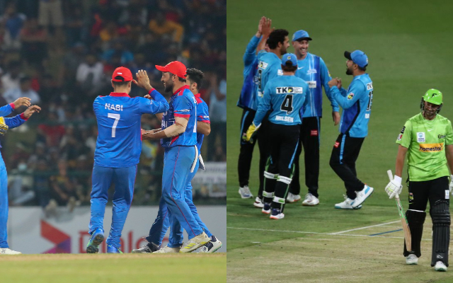  Star Afghanistan bowler sacked from Big Bash League over harassing female staff – Reports