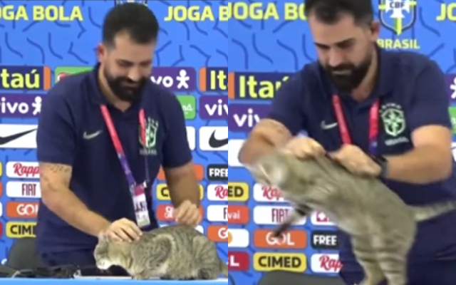  ‘He is a trash’ – Twitter lambasts at Brazil press officer as he throws cat off the table