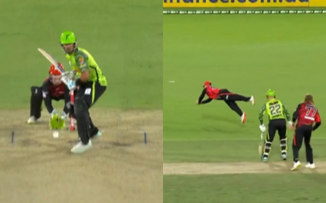  Watch: Melbourne Renegades fielders takes remarkable catch in BBL 2022-23
