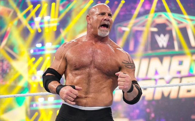  ‘They would horde me from behind and…’ – Former WWE star revealed heat he faced as a partner of Goldberg